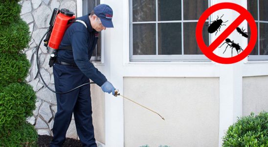 Çamaş Tahtakurusu İlaçlama böcek ilaçlama ve haşere kontrolü — ilaclama-tr.com